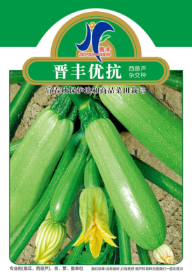 晋丰优抗