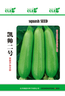 凯帅二号