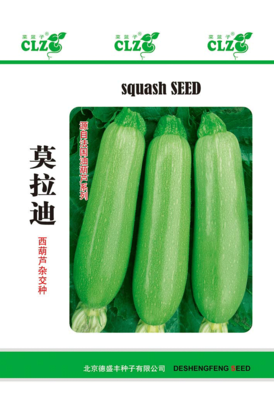莫拉迪