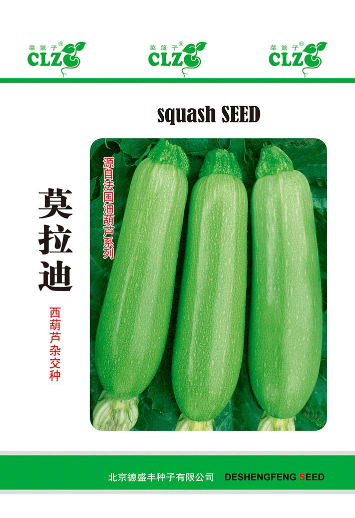 莫拉迪