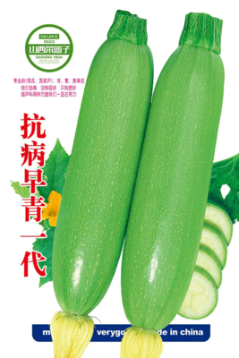 抗病早青一代