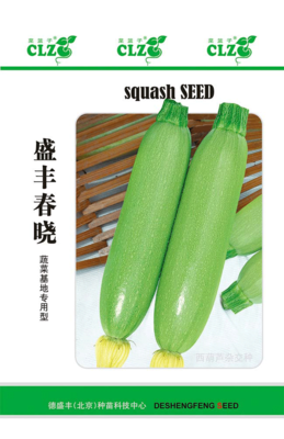 盛丰春晓