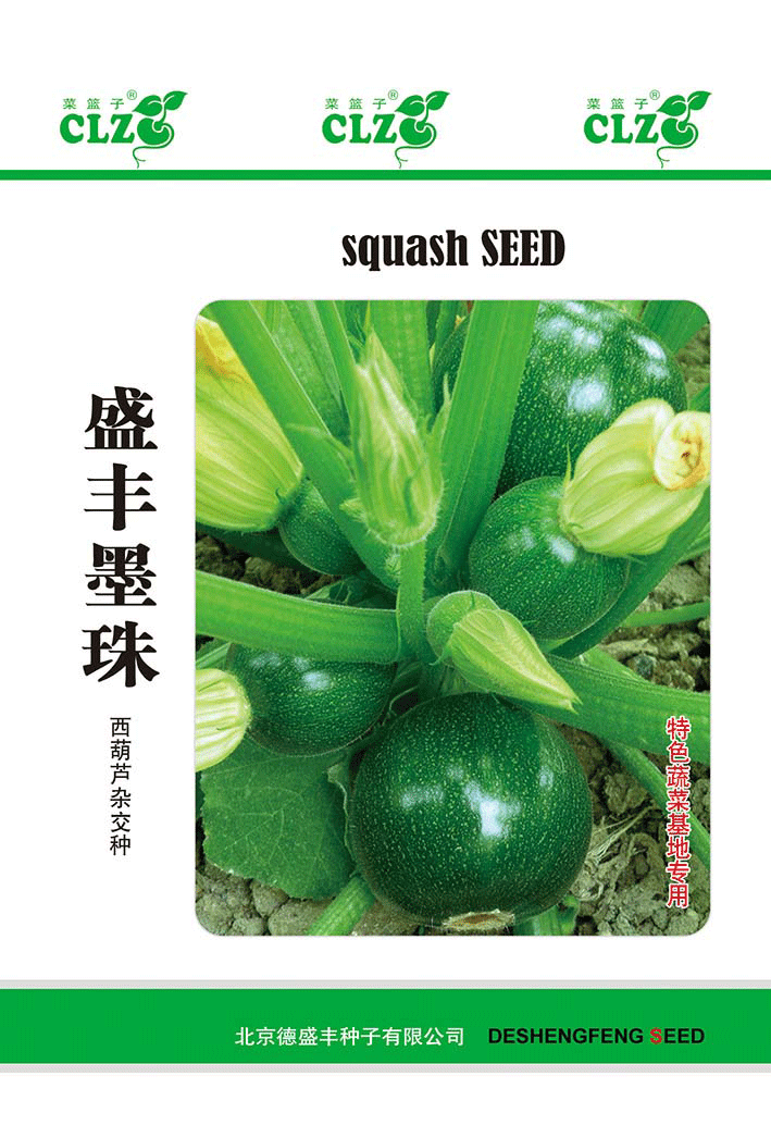盛丰墨珠