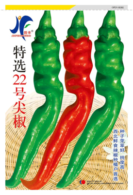 22号尖椒