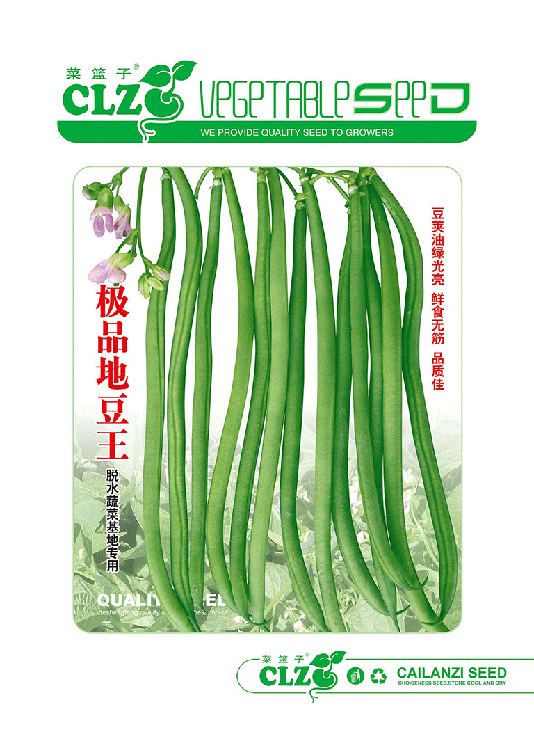 **地豆王
