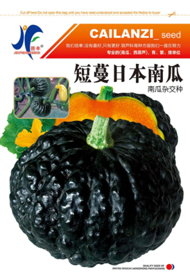 短蔓日本南瓜