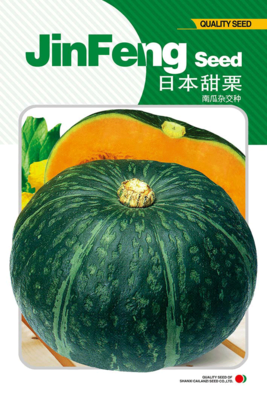 日本甜栗