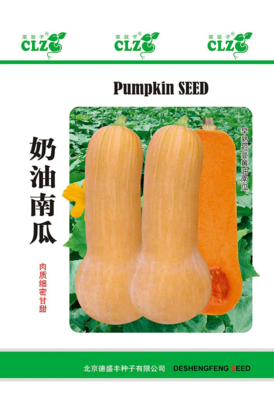 奶油南瓜
