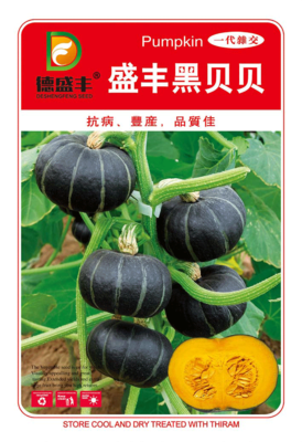 盛丰黑贝贝