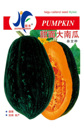 甜面大南瓜