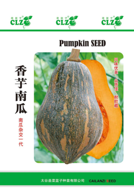 香芋南瓜