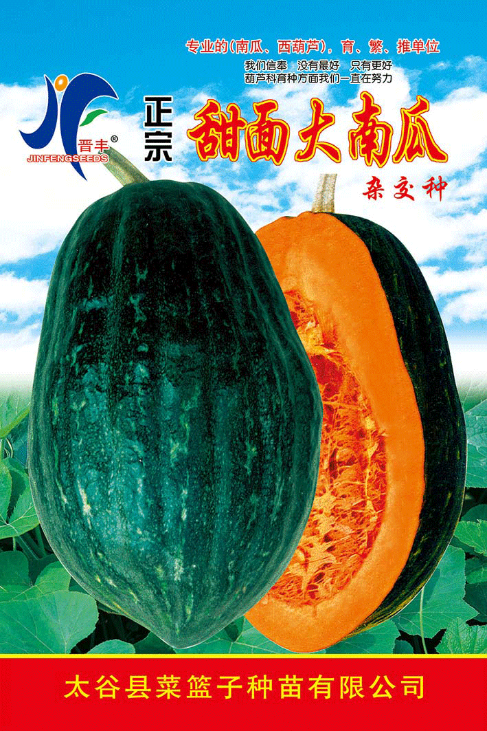 正宗甜面大南瓜