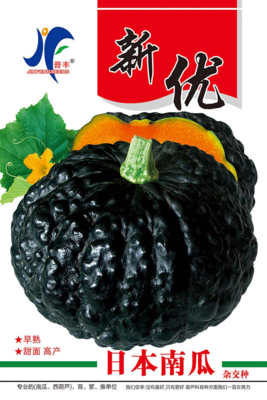 新优日本南瓜