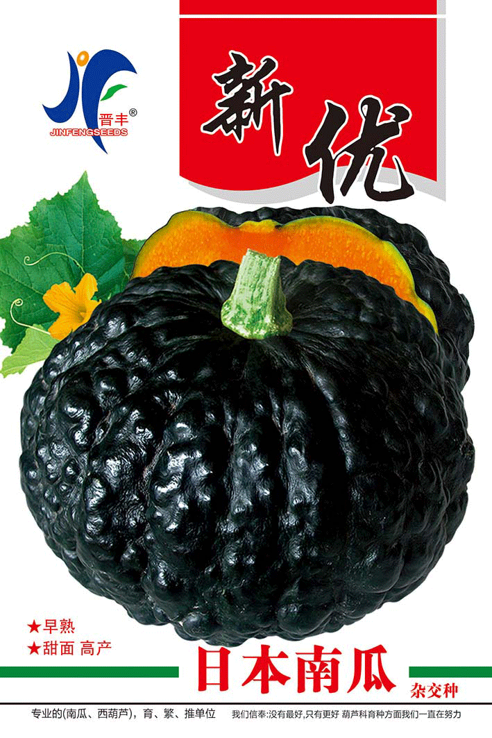 新优日本南瓜